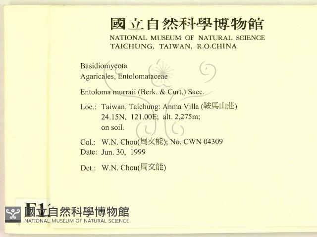 登錄號:F0013237藏品圖，第2張