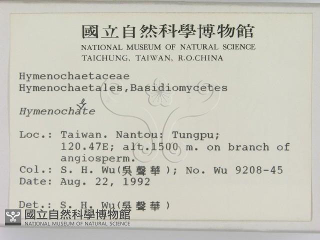 登錄號:F0000837藏品圖，第2張