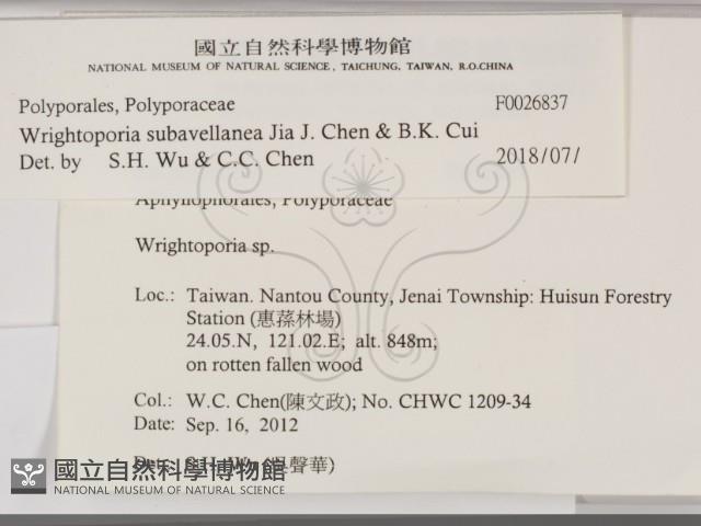 登錄號:F0026837藏品圖，第2張