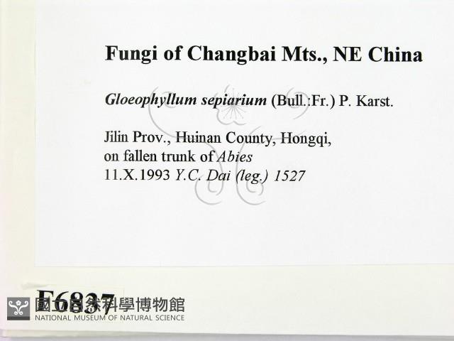 登錄號:F0006837藏品圖，第2張