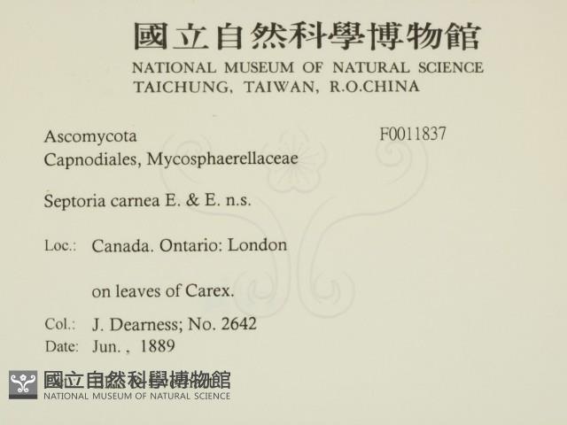 登錄號:F0011837藏品圖，第2張