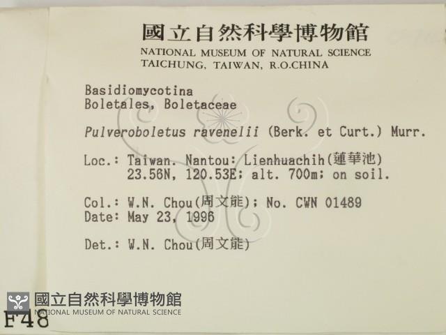 登錄號:F0004837藏品圖，第2張