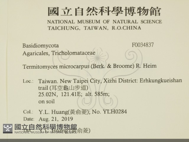 登錄號:F0034837藏品圖，第2張