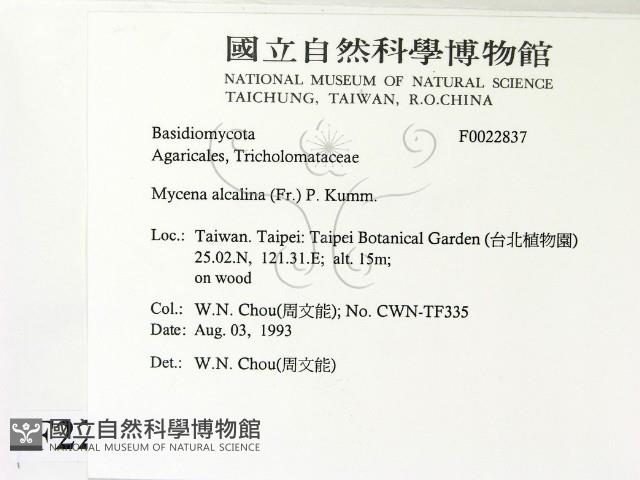 登錄號:F0022837藏品圖，第2張