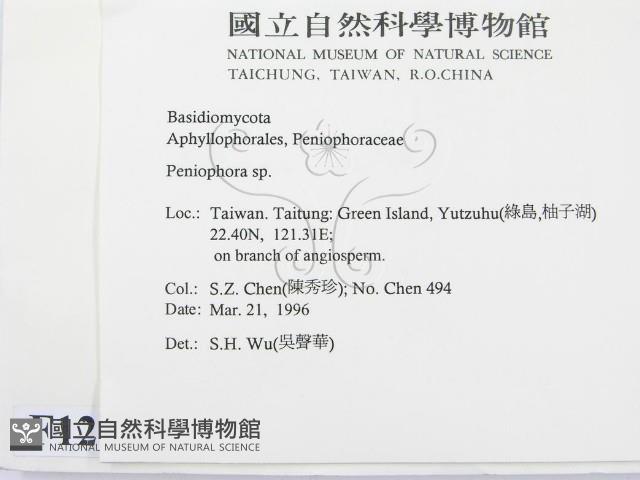 筍殼菌屬藏品圖，第2張