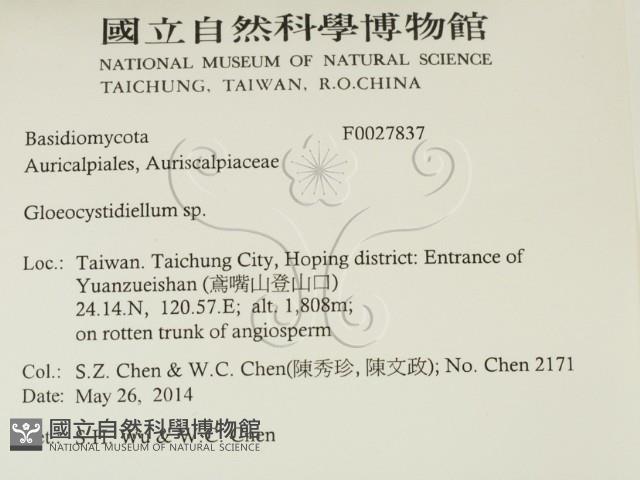 登錄號:F0027837藏品圖，第2張