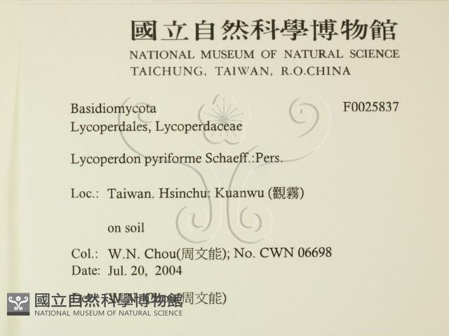 登錄號:F0025837藏品圖，第2張