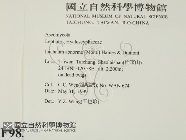 登錄號:F0009837藏品圖，第2張