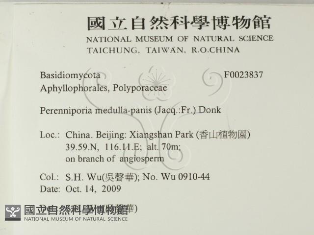 登錄號:F0023837藏品圖，第2張