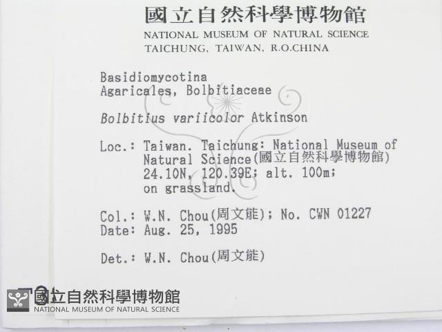 登錄號:F0003837藏品圖，第2張