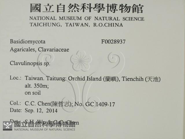 登錄號:F0028937藏品圖，第2張