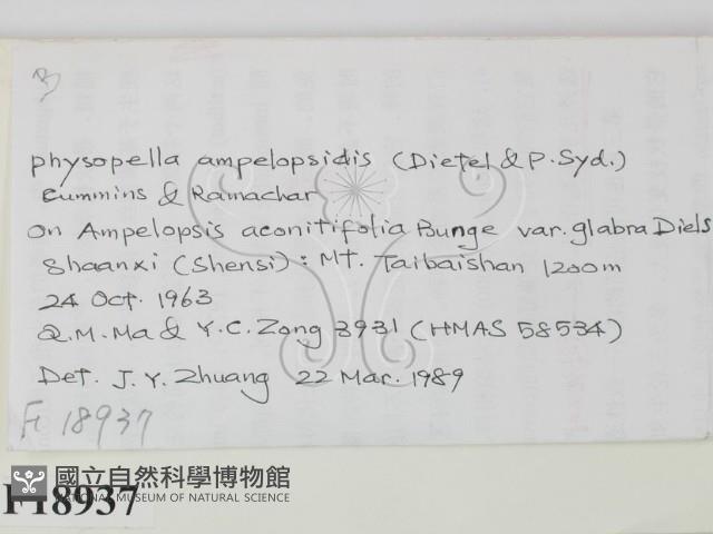 登錄號:F0018937藏品圖，第2張