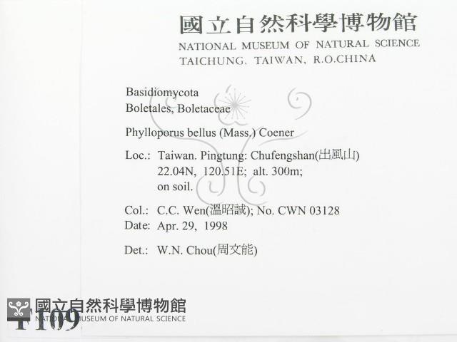 登錄號:F0010937藏品圖，第2張