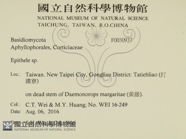 登錄號:F0030937藏品圖，第2張