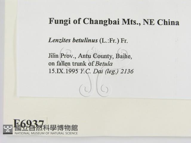 登錄號:F0006937藏品圖，第2張