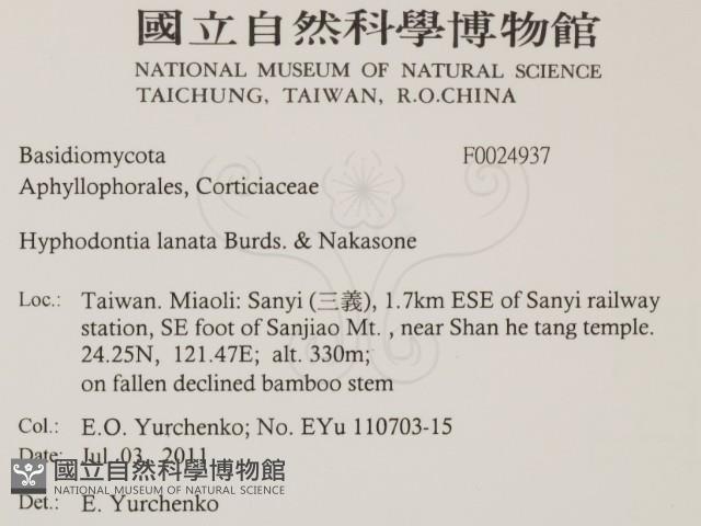 登錄號:F0024937藏品圖，第2張