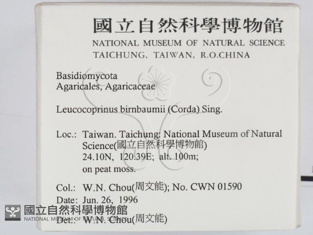 登錄號:F0004937藏品圖，第2張