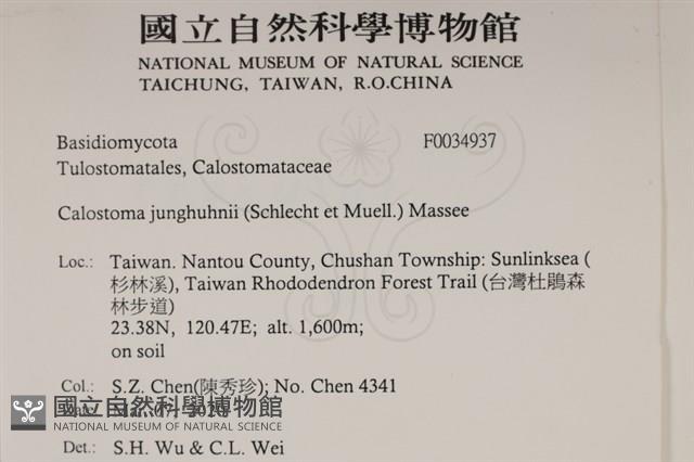 登錄號:F0034937藏品圖，第2張