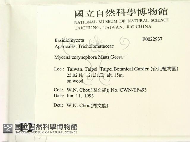 登錄號:F0022937藏品圖，第2張