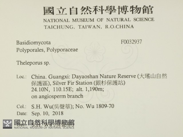 登錄號:F0032937藏品圖，第2張