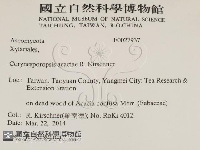 登錄號:F0027937藏品圖，第2張