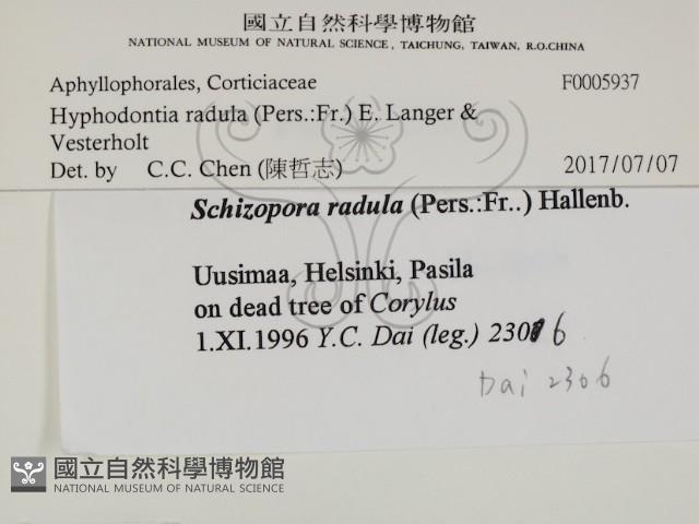 登錄號:F0005937藏品圖，第2張