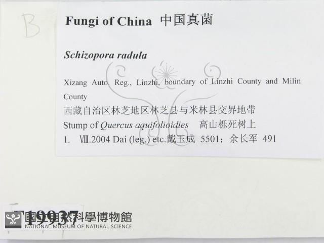登錄號:F0019937藏品圖，第2張
