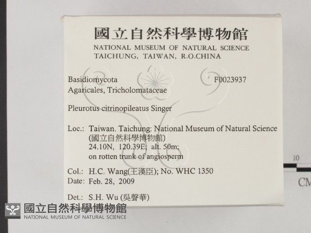 登錄號:F0023937藏品圖，第2張