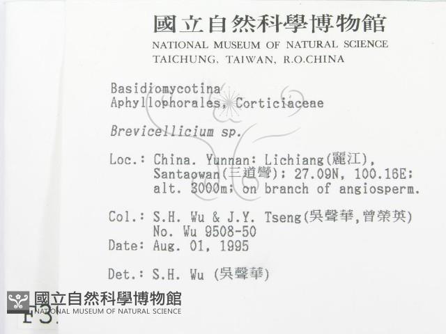 登錄號:F0003937藏品圖，第2張