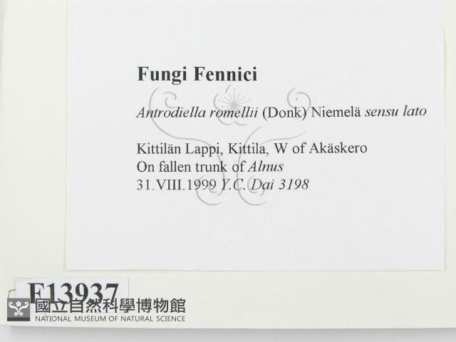 登錄號:F0013937藏品圖，第2張