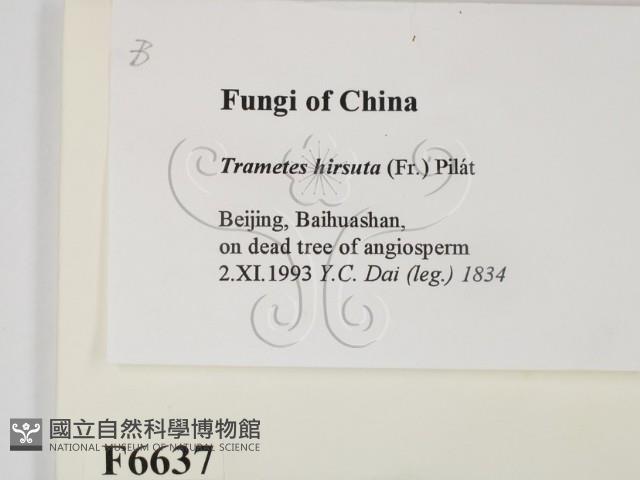 登錄號:F0006637藏品圖，第2張