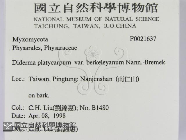 登錄號:F0021637藏品圖，第2張