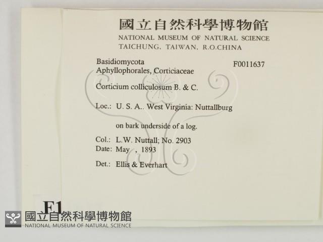 登錄號:F0011637藏品圖，第2張