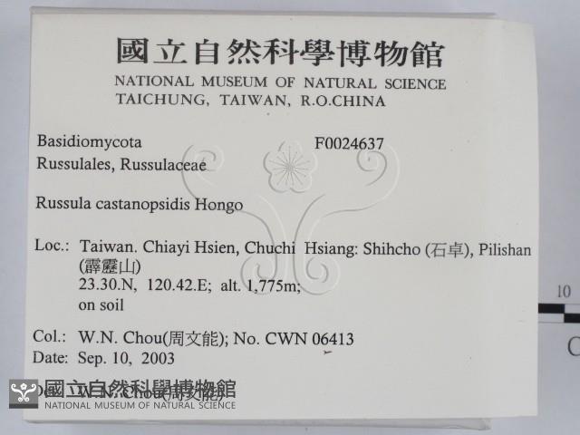 登錄號:F0024637藏品圖，第2張