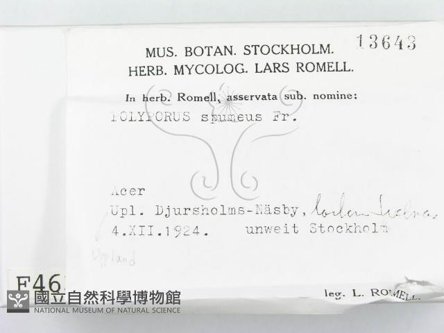 登錄號:F0004637藏品圖，第2張