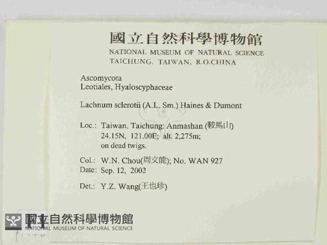 登錄號:F0014637藏品圖，第2張