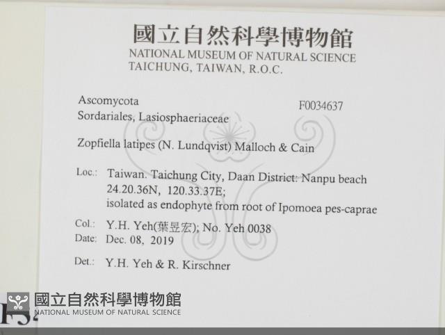 登錄號:F0034637藏品圖，第2張