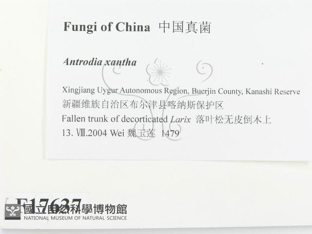 登錄號:F0017637藏品圖，第2張