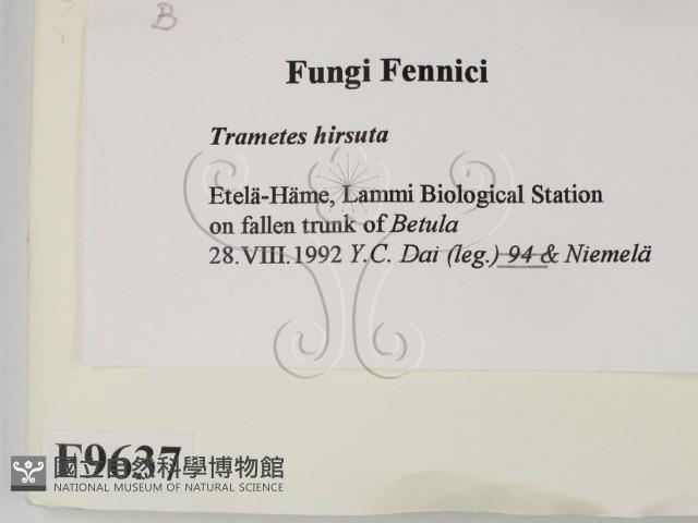 登錄號:F0009637藏品圖，第2張