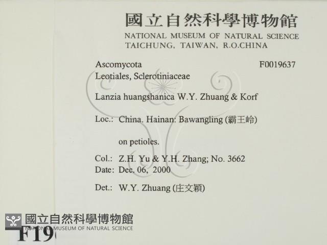 登錄號:F0019637藏品圖，第2張