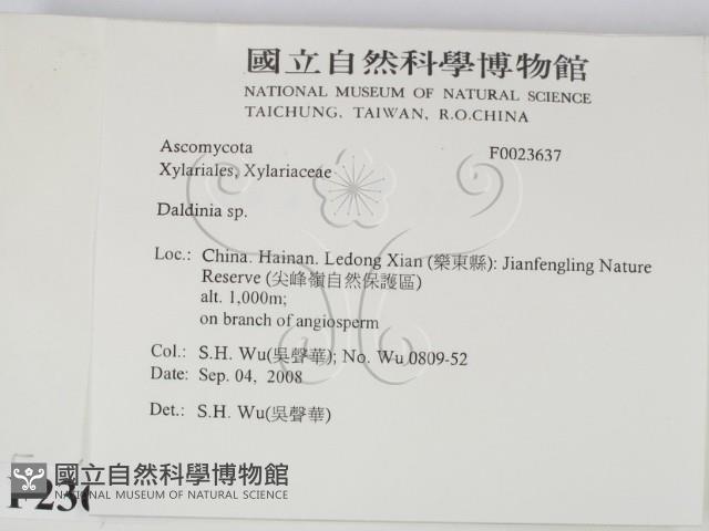 登錄號:F0023637藏品圖，第2張