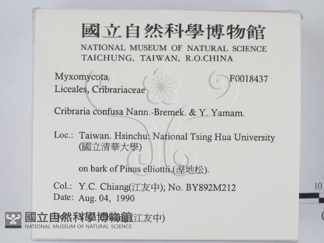 登錄號:F0018437藏品圖，第2張