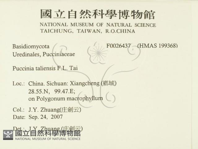 登錄號:F0026437藏品圖，第2張