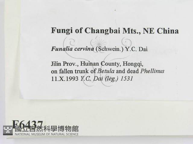 登錄號:F0006437藏品圖，第2張