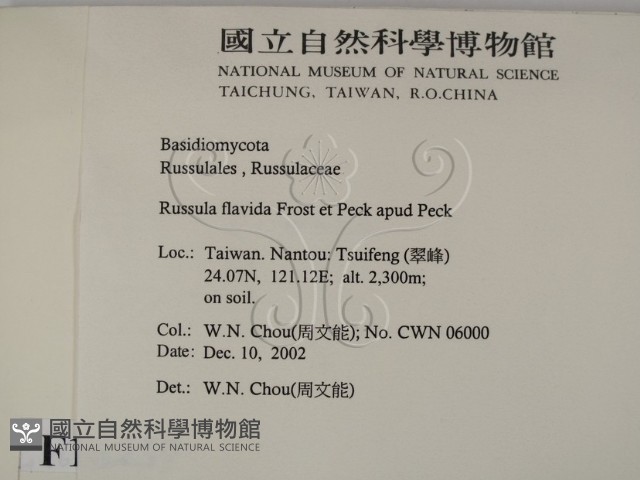 登錄號:F0016437藏品圖，第2張