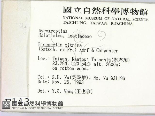 登錄號:F0001437藏品圖，第2張