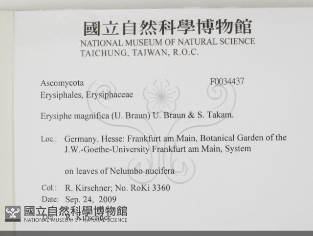 登錄號:F0034437藏品圖，第2張