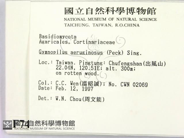 登錄號:F0007437藏品圖，第2張