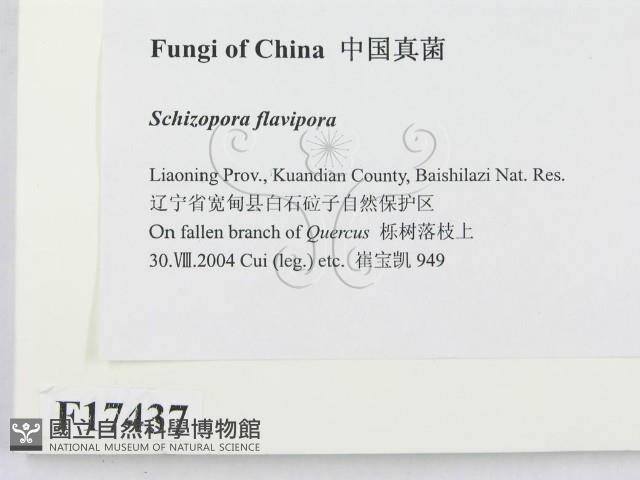 登錄號:F0017437藏品圖，第2張