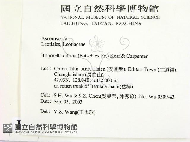 登錄號:F0015437藏品圖，第2張